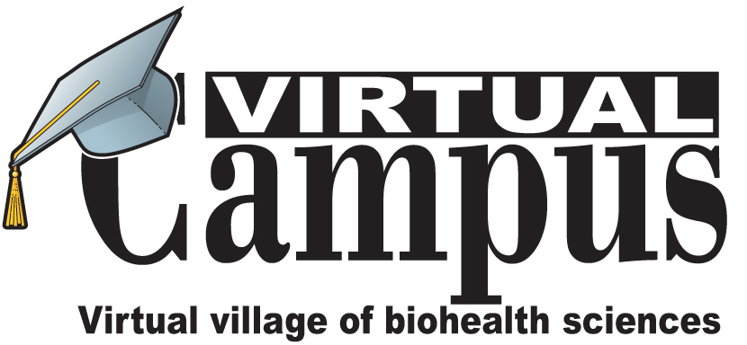 Virtual campus Logo