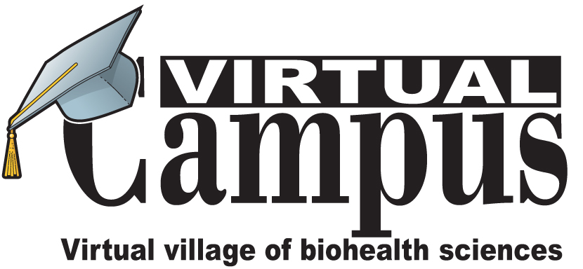 Logo Virtual Campus