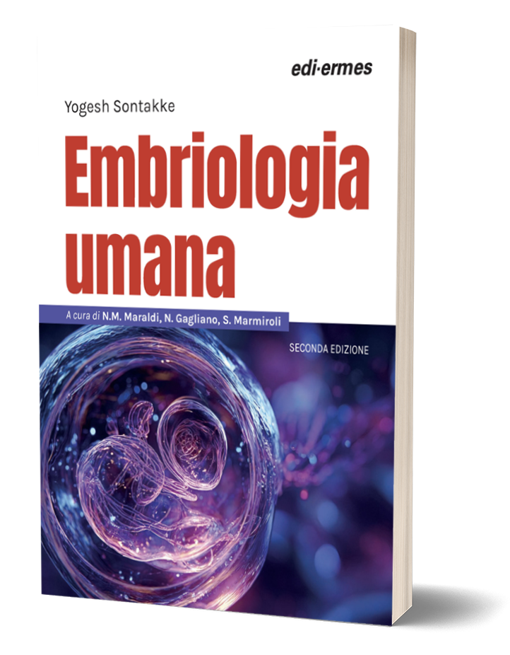 Nessuna immagine impostata 