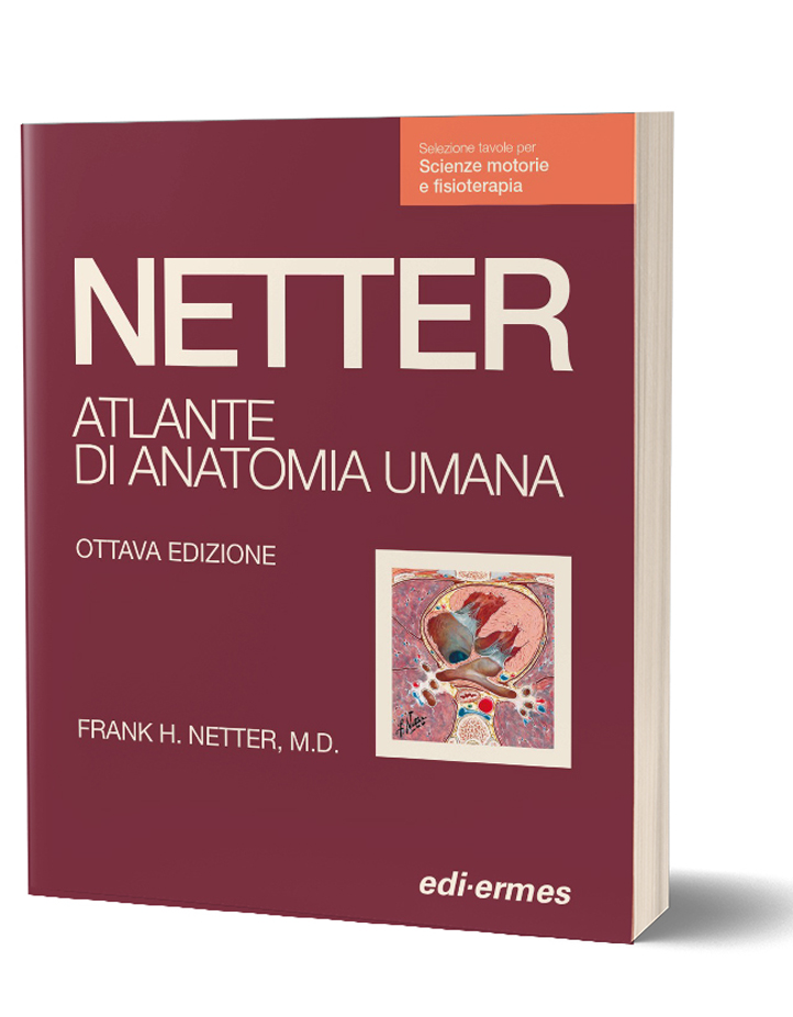 NOVITÀ: NETTER Atlante di Anatomia Umana Scienze motorie e fisioterapia