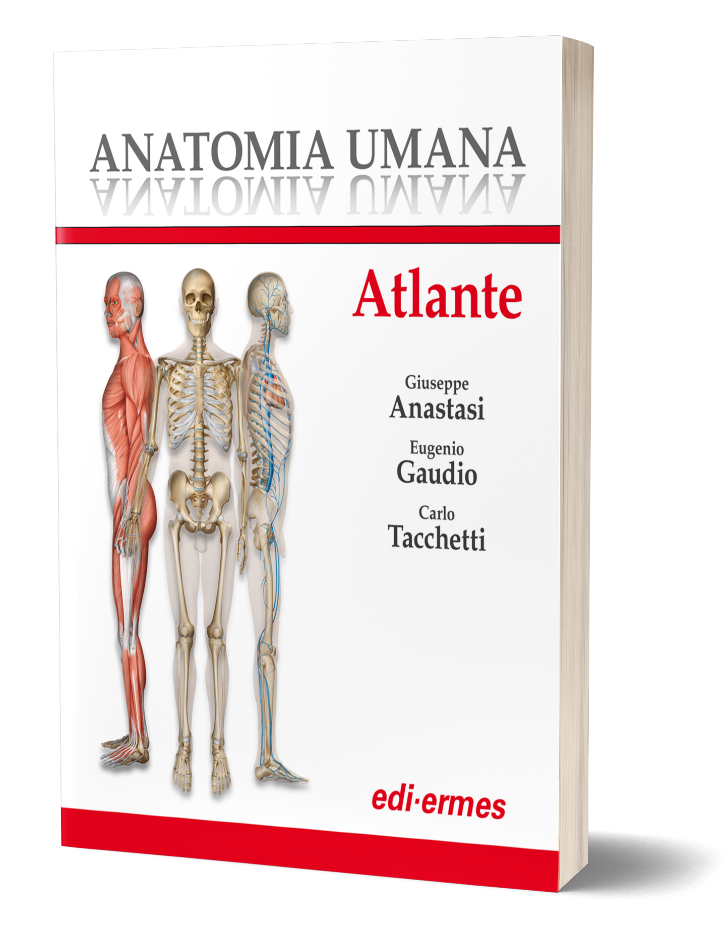 VIRTUAL CAMPUS: Anatomia Umana – Atlante