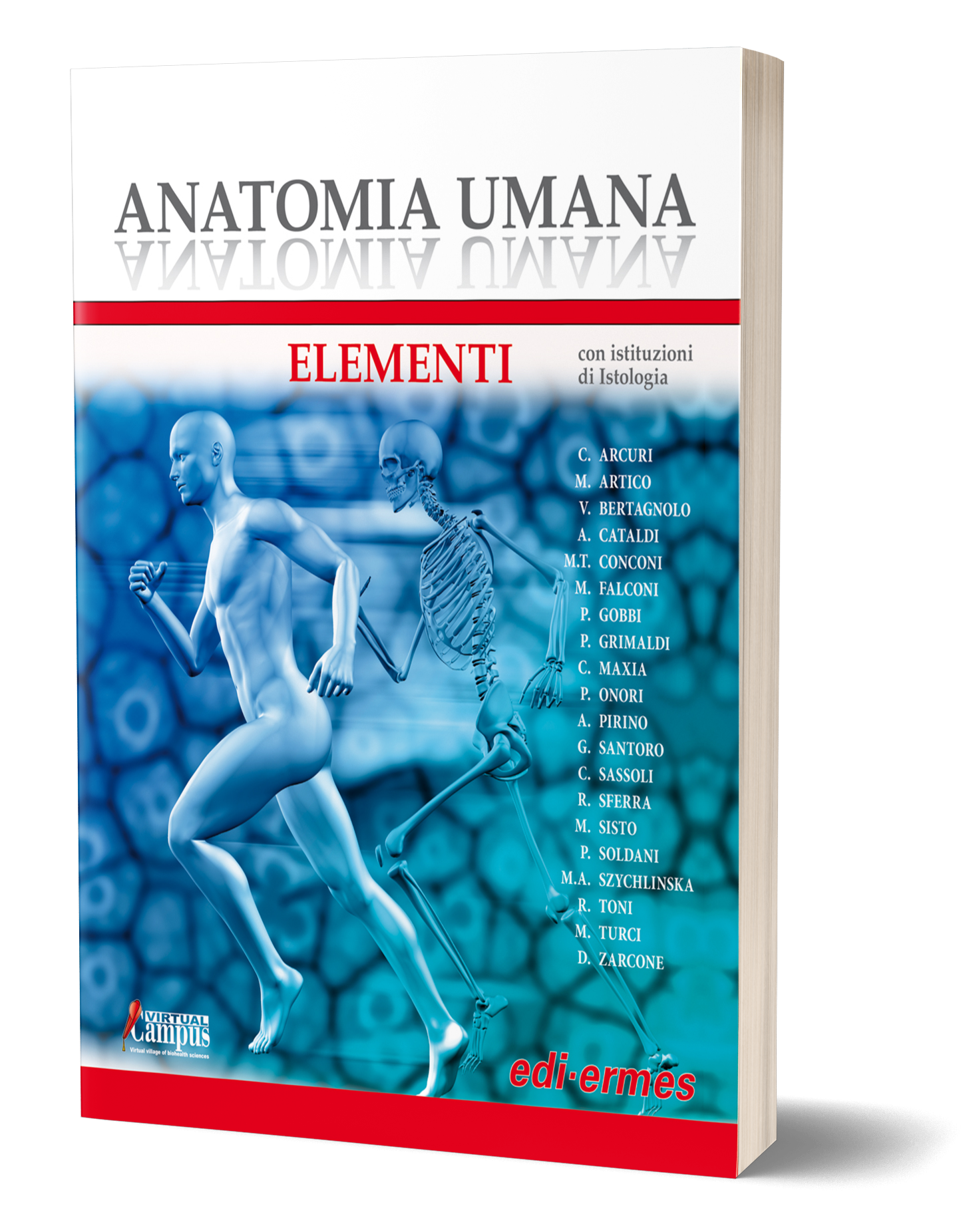 Anatomia Umana elementi