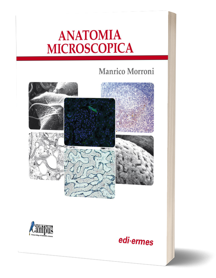 Nessuna immagine impostata 