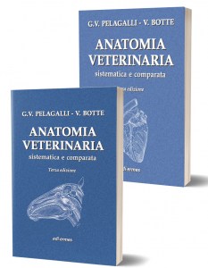 Anatomia veterinaria