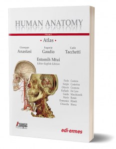 Human Anatomy Atlas - Vol. 2