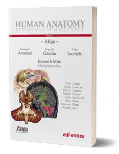Human Anatomy Atlas - Vol. 3