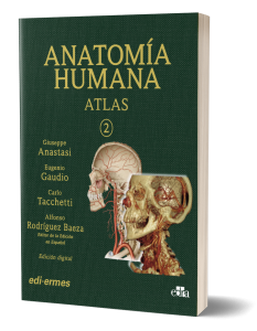 Anatomía humana - Atlas interactivo multimedia - Vol. 2 - Edición española